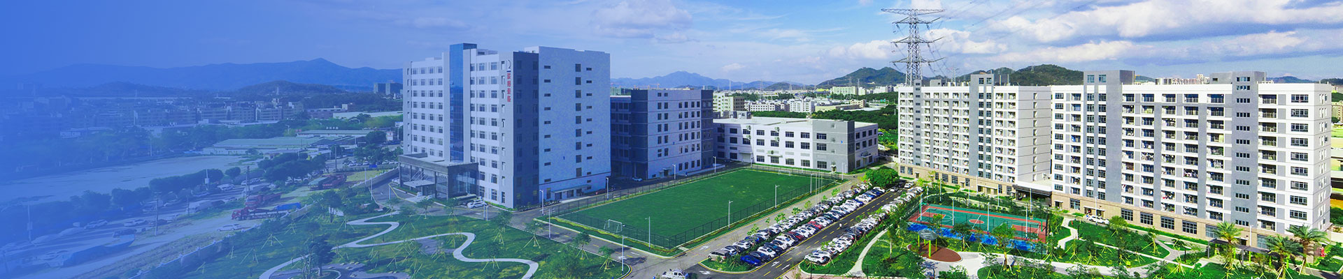 联系bevictor伟德