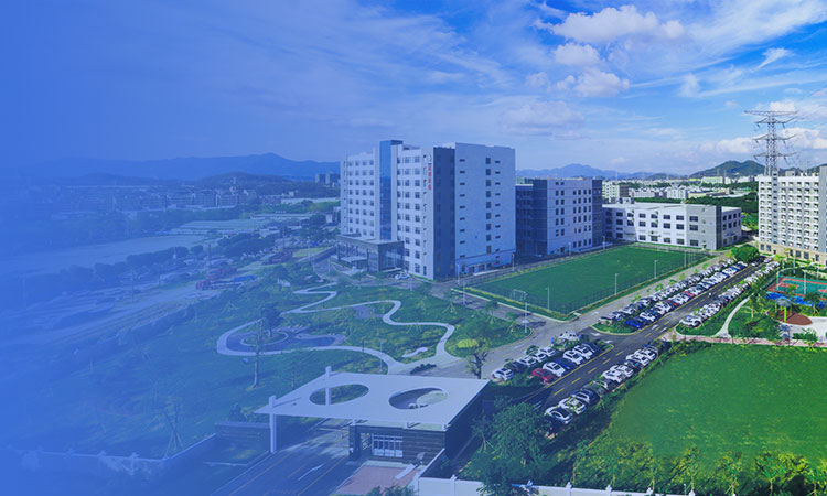 联系bevictor伟德